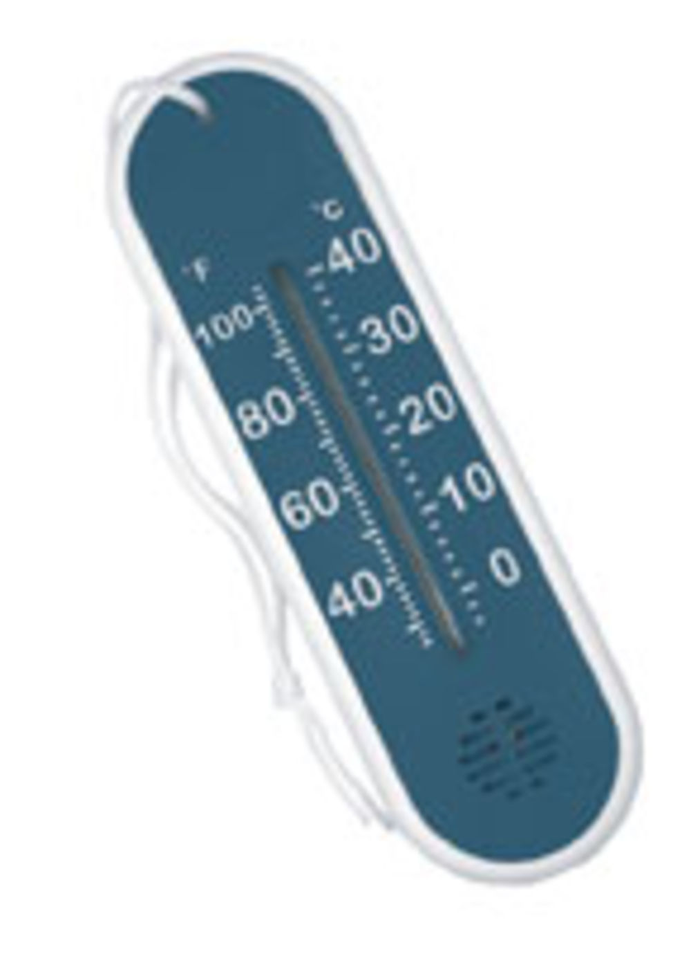 Swimming Pool Thermometers
