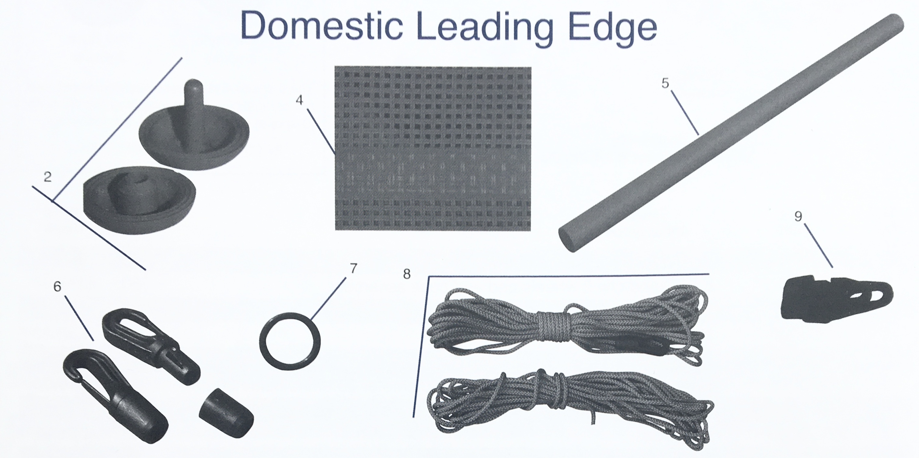 Domestic Leading Edge