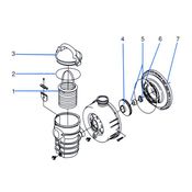 Swimming pool pump parts and spares